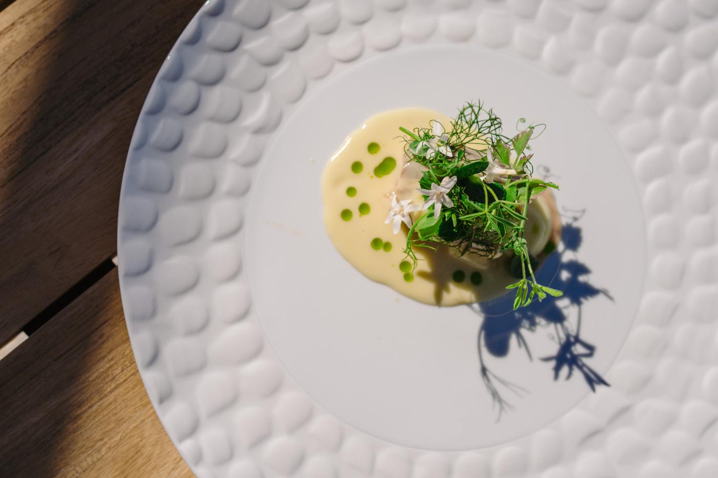 Hondshaai met chips van aardpeer en een beurre blanc van gefermenteerd eekhoorntjesbrood en vin jaune